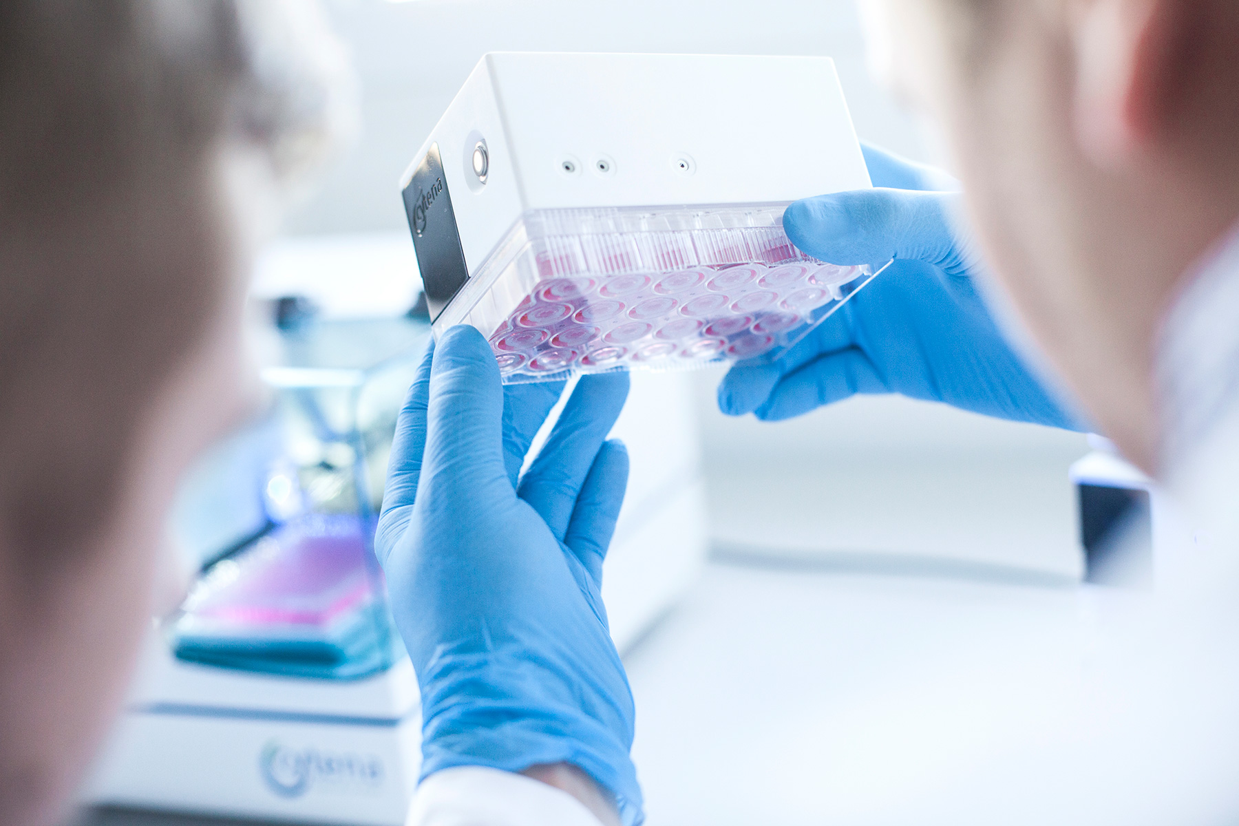 CELL LINE DEVELOPMENT CYTENA BPS Taiwan 生德奈生物科技